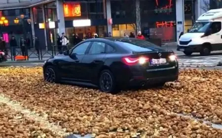 تصعيد فلاحي في بروكسيل وباريس.. مزارعون أوروبيون يحتجون برمي محاصيلهم رفضاً للسياسات التجارية للاتحاد الأوروبي