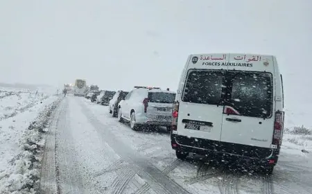 Bulletin d’alerte météo : fortes pluies, neige et vents violents attendus dans plusieurs provinces du Royaume