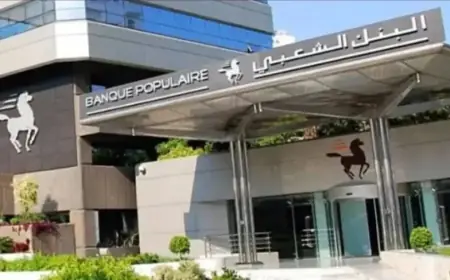 Les entreprises de transport des Îles Baléares envisagent de recruter des Marocains pour combler la pénurie de main-d'œuvre