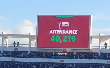Plus de 40 000 spectateurs présents au match Égypte – Afrique du Sud à Agadir