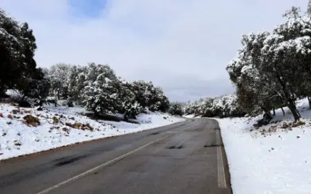 Alerte météo : fortes averses orageuses, chutes de neige et rafales de vent prévues du vendredi au dimanche dans plusieurs régions
