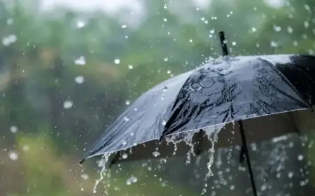 أمطار وثلوج بمجموعة من مناطق المملكة اليوم السبت