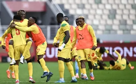 بنين يفوز على بوتسوانا ويقربه من توديع بطولة كأس أمم إفريقيا