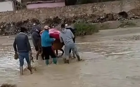 تازة.. مواطنون ينقلون سيدة في حالة صحية حرجة على ظهر حمار وسط الأوحال