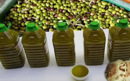 أونسا يحذر المواطنين من شراء زيت الزيتون مجهول المصدر