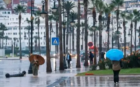 Des rafales de vent parfois fortes attendues ce vendredi dans plusieurs régions du Royaume (bulletin d’alerte)