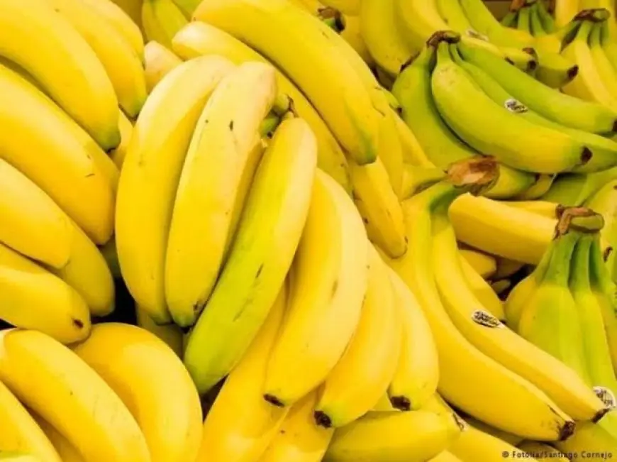 تقرير يكشف علاقة اللون الأمثل للموز بفوائده الصحية