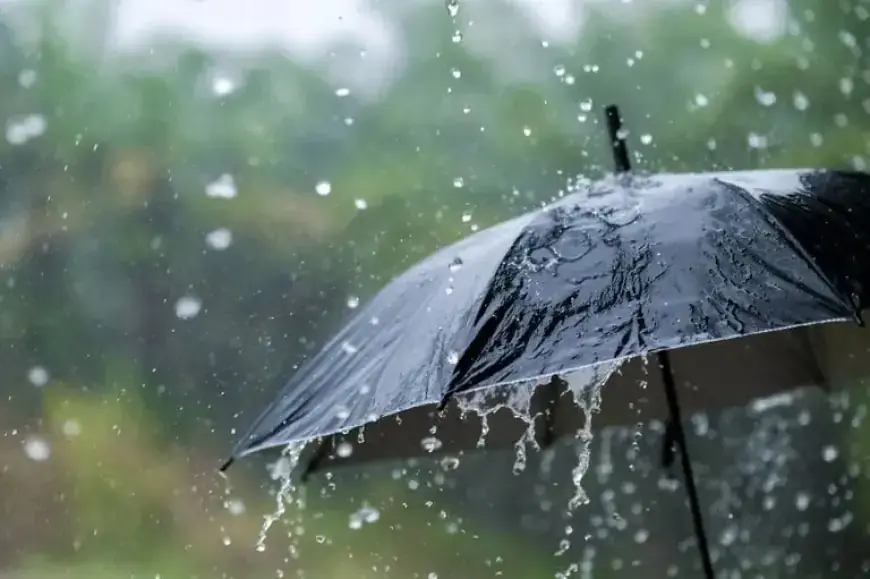 أمطار وثلوج بمجموعة من مناطق المملكة اليوم السبت