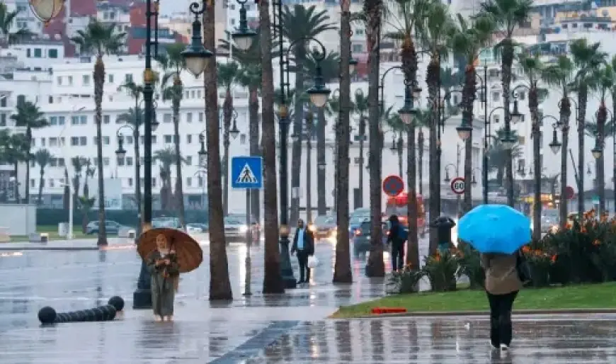 Des rafales de vent parfois fortes attendues ce vendredi dans plusieurs régions du Royaume (bulletin d’alerte)