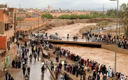 نشرة إنذارية من المستوى الأحمر: أمطار غزيرة مرتقبة بهذه المناطق