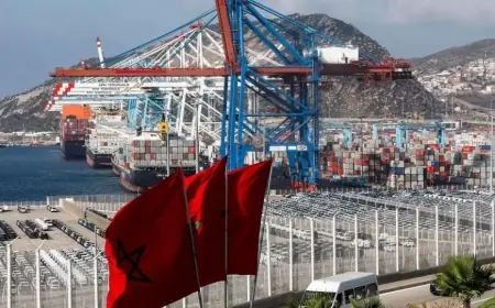 المغرب يسجل رقما قياسيا في الاستثمارات الأجنبية المباشرة خلال سنة 2025