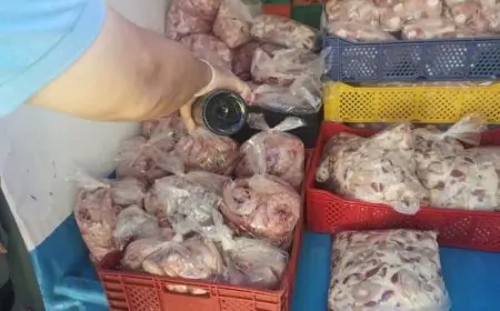الدرك الملكي يحجز كميات مهمة من الدجاج واللحوم الفاسدة بالنواصر