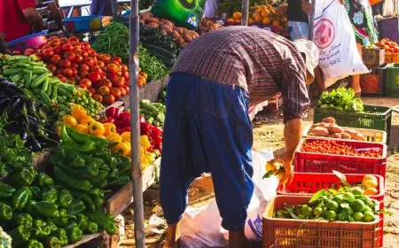 Hausse significative des prix des légumes en raison des intempéries