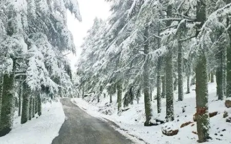 Alerte météo au Maroc : fortes pluies, orages, vents violents et chutes de neige attendus dans plusieurs régions