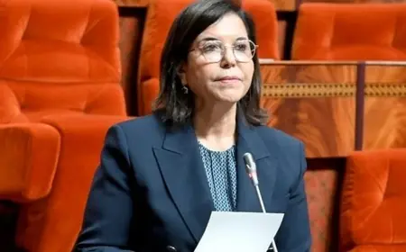 Avancement de la digitalisation des marchés de poissons au Maroc