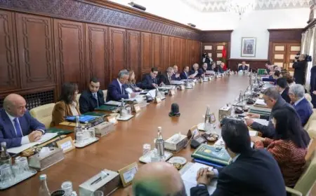 مجلس الحكومة يصادق على تجديد تراخيص شركات الاتصالات عبر الأقمار الصناعية