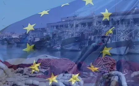L’Union européenne relance les négociations avec le Maroc pour un nouvel accord de pêche
