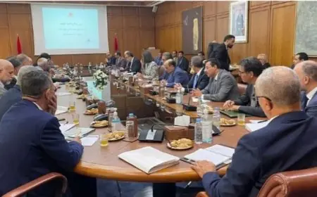 Réforme des retraites la CNSS présente un exposé détaillé devant la commission technique