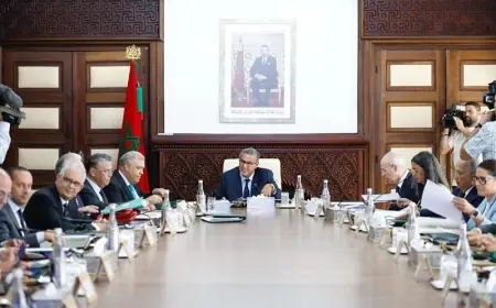 Un Conseil de gouvernement prévu jeudi pour examiner un projet de loi sur l’Agence nationale des plantes médicinales et aromatiques