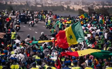استقبال جماهيري حاشد في شوارع دكار للمنتخب السنغالي بعد التتويج إفريقيا