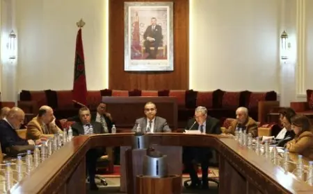 Projet de loi 16.22 : le rôle des adouls au cœur du débat sur la réforme du système notarial