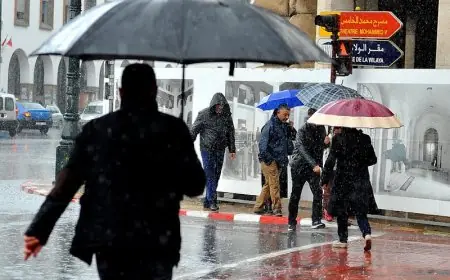 مديرية الأرصاد الجوية تتوقع استمرار تساقط الأمطار خلال الأيام القادمة بعدد من مناطق المملكة