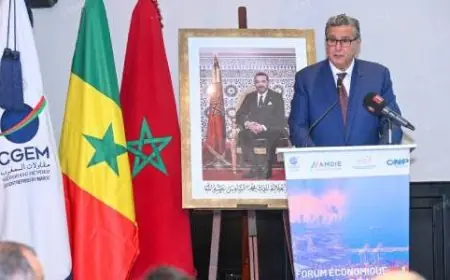 Le Maroc et le Sénégal renforcent leur partenariat économique : une relation d’investissement durable et diversifiée