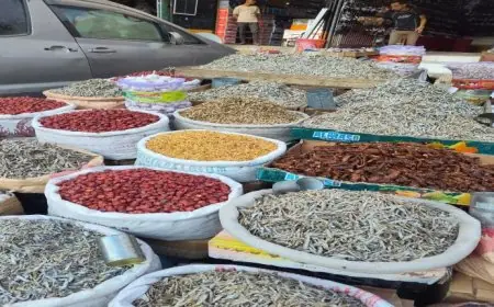 خبيرة للتغذية تكشف عن التوابل التي تعزز المناعة في فصل الشتاء