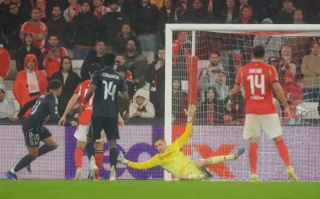 دوري أبطال أوروبا.. بنفيكا يُسقط ريال مدريد برباعية ويحجزان مقعديهما في ملحق ثمن النهائي