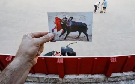 إسبانيا تقترح حظر حضور الأطفال والشباب لمصارعة الثيران