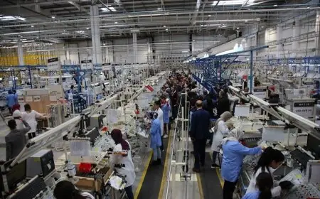 قطاع الاقتصاد الاجتماعي والتضامني يخلق أكثر من 24 ألف فرصة شغل في المغرب خلال سنة 2025