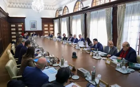 مجلس الحكومة يصادق على مشاريع قوانين ومراسيم لتعزيز فعالية القضاء والإدارات العمومية
