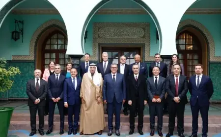 أخنوش يستقبل مستثمرين في قطاع الهيدروجين الأخضر