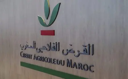 القرض الفلاحي للمغرب يفعل آلية دعم للفلاحين المتضررين من التقلبات المناخية