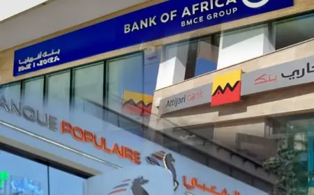 التجاري وفا بنك" و"BMCE Capital" و"البنك الشعبي" يتصدرون تصنيف البنوك الوسيطة لسنة 2025