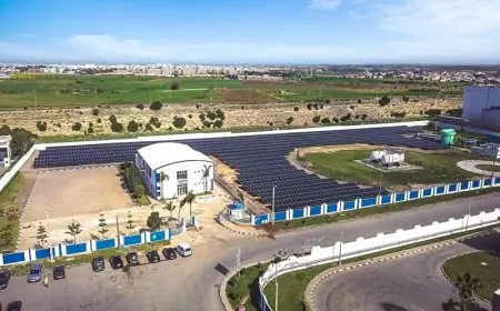 Une majorité de PME marocaines engagées dans la transition vers la décarbonation