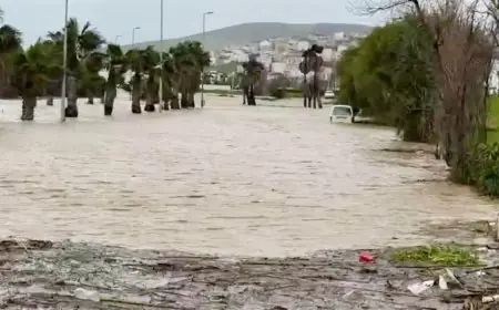 شفشاون.. السلطات تباشر إجلاء مئات الأسر بعد التقلبات الجوية لضمان سلامة السكان