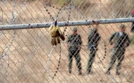 تفكيك شبكة تهريب الحشيش إلى مليلية المحتلة وتوقيف سبعة أشخاص