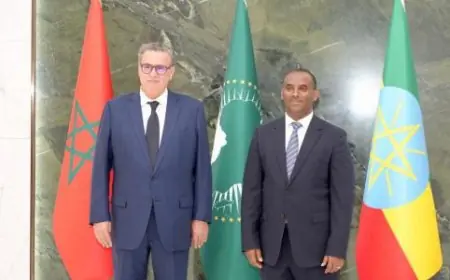 Aziz Akhannouch représente le Roi Mohammed VI au 39e Sommet de l’Union africaine à Addis-Abeba