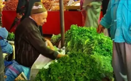 قبل رمضان.. سعر القزبر والمعدنوس يقفز إلى 8 دراهم بالأسواق المغربية