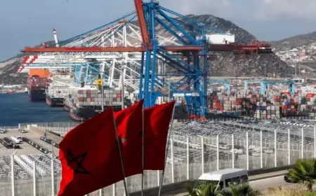 تقرير.. ميناء طنجة المتوسط يقترب من إزاحة عمالقة أوروبا "روتردام وأنتويرب"