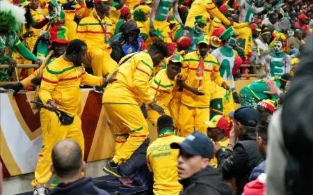 تفاصيل جديدة عن إدانة مشجعين سنغاليين وجزائري على خلفية أحداث نهائي الكان