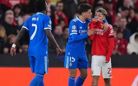 بنفيكا يفتح تحقيقًا بشأن مشجعيه بسبب توجيه حركات عنصرية إلى فينيسيوس