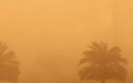 نشرة إنذارية.. رياح قوية وعواصف رملية بعدد من أقاليم المغرب