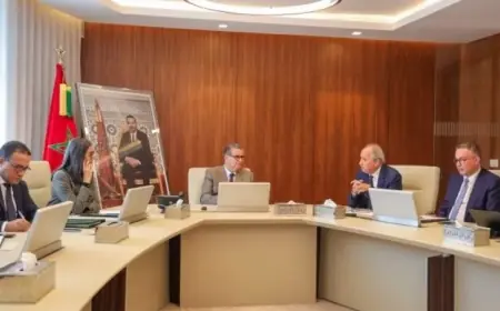 Aziz Akhannouch préside une réunion consacrée au suivi de la réforme de l’éducation nationale