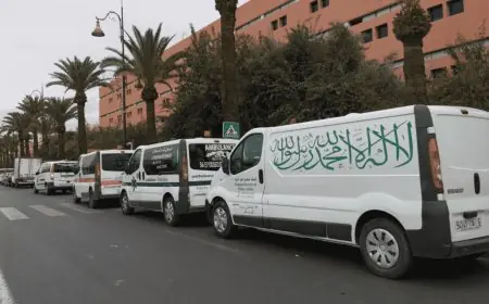رسميا.. صدور قرار جديد بالجريدة الرسمية ينهي جدل شعارات سيارات نقل الأموات
