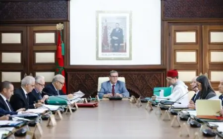 مجلس الحكومة يصادق على تحديث وكالة تقييم التعليم العالي والبحث العلمي