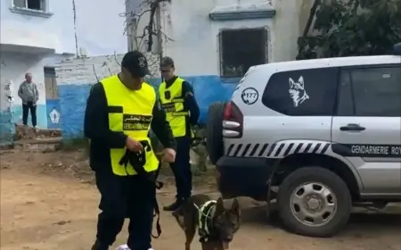 لليوم الثالث.. السلطات تواصل البحث عن الطفلة المختفية بشفشاون