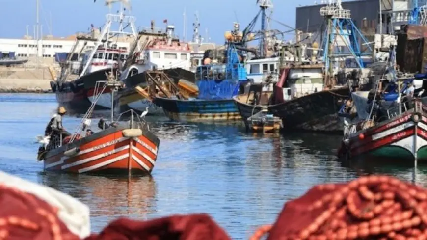 تراجع مفرغات الصيد الساحلي والتقليدي بميناء المضيق خلال يناير 2026
