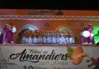 La 13e édition du Festival de l'Amandier à Tafraout : "Terre d'amandier, terroir d'avenir"